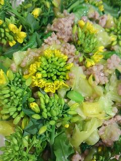 春キャベツとアスパラ菜そぼろ炒め-レシピのメイン写真