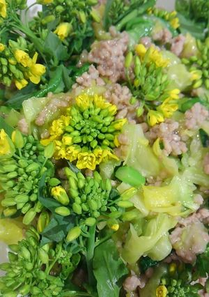 春キャベツとアスパラ菜そぼろ炒め-レシピのメイン写真