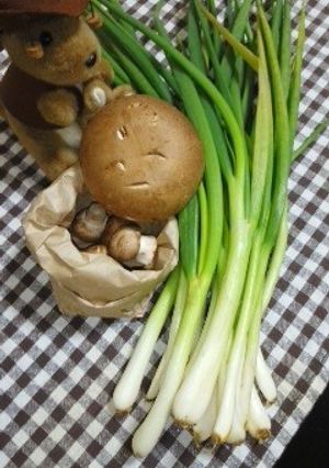 ひともじぐるぐる：熊本産わけぎ-レシピのメイン写真