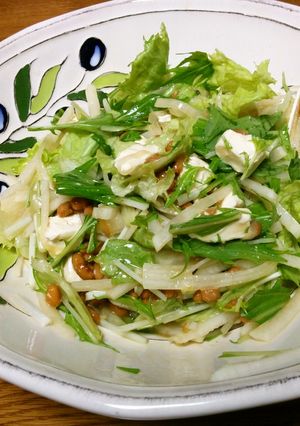 朝からモリモリ♪お野菜一杯納豆サラダ♥-レシピのメイン写真