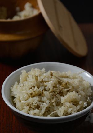 大浦太ごぼうとじゃこの炊き込みごはん-レシピのメイン写真