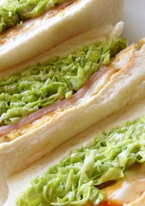春キャベツのサンドイッチ-レシピのメイン写真
