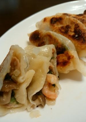 エビとツナの節約餃子-レシピのメイン写真
