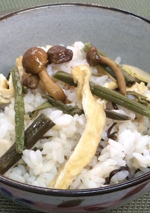 簡単！液体塩こうじで山菜ご飯-レシピのメイン写真