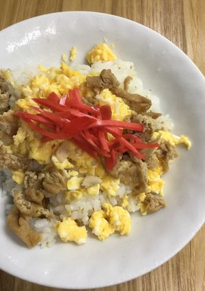いなりちらし寿司-レシピのメイン写真