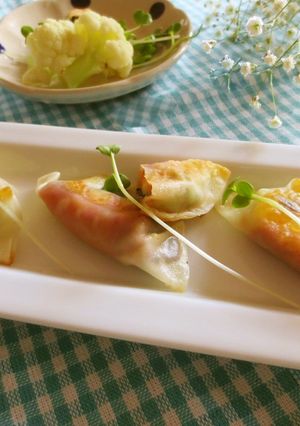 簡単☆ねぎキムチと黒豆♪チーズの餃子-レシピのメイン写真