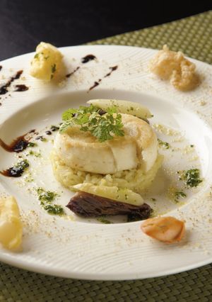ホタテとヒラメのメダイヨンに煮干しのリ…-レシピのメイン写真