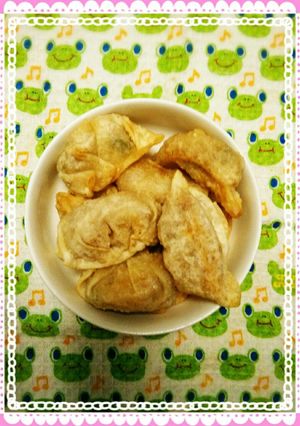 青椒肉絲の餃子皮包み揚げ-レシピのメイン写真