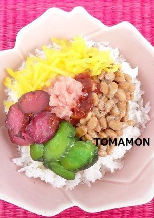 和風なんでものせ丼✿なんちゃってお茶漬け-レシピのメイン写真