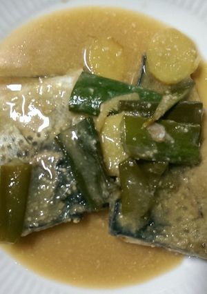 サバの味噌煮-レシピのメイン写真