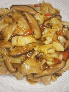 ひき肉でごちそう♪簡単☆野菜あんかけ-レシピのメイン写真