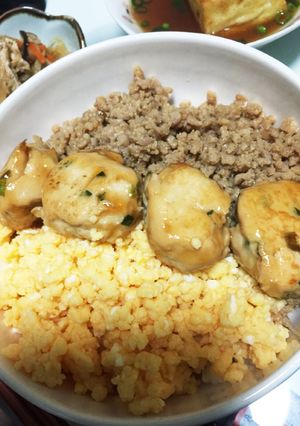 ふわふわ卵と甘辛そぼろのボリューム丼-レシピのメイン写真