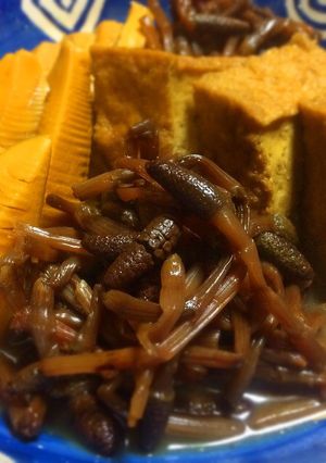 春の味覚✿﻿つくしの煮物-レシピのメイン写真