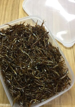 いかなごの釘煮(山椒入り)-レシピのメイン写真
