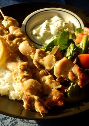 ギリシャ風チキン串焼き❤ヨーグルトソース-レシピのメイン写真