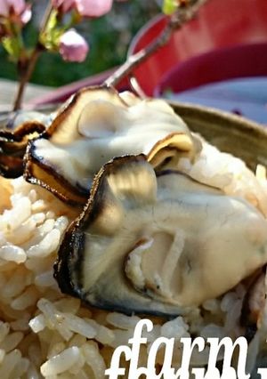 海の幸に感謝❤カキの炊き込みごはん-レシピのメイン写真