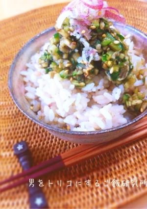 超簡単！刻むだけのごはんの友♪山形のだし-レシピのメイン写真