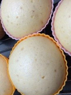 ふつーのふんわり蒸しパン-レシピのメイン写真