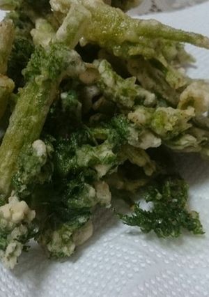春5番目の山菜・シャクの天ぷら-レシピのメイン写真