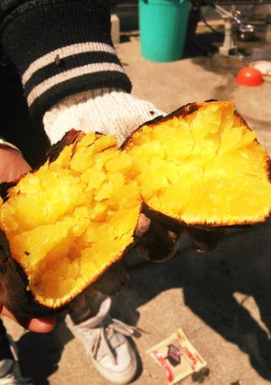 炭火焼き芋！-レシピのメイン写真