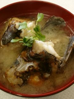 オコゼのみそ汁-レシピのメイン写真