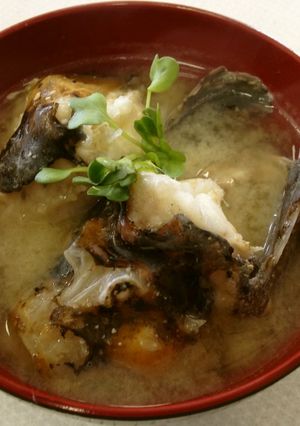 オコゼのみそ汁-レシピのメイン写真