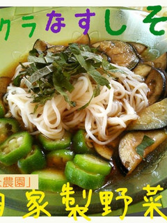 オクラ+なす+しそ乗せお素麺-レシピのメイン写真