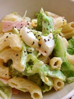 春キャベツのマカロニサラダ-レシピのメイン写真