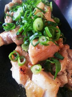 塩麹☆焼き鳥 ※覚書-レシピのメイン写真