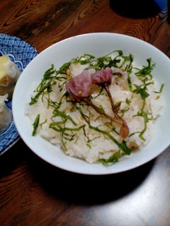 梅ごはん-レシピのメイン写真