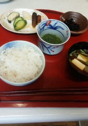 血管プラークダイエット食238（浅漬け）-レシピのメイン写真