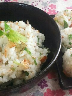 行楽お弁当に◎桜海老みつ葉ご飯&おにぎり-レシピのメイン写真