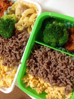 子弁当〜そぼろ弁当〜-レシピのメイン写真
