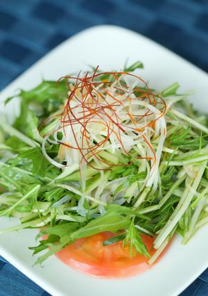 こんにゃくとお野菜のピリ辛酢和え-レシピのメイン写真