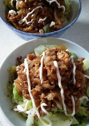 豚丼＊＊オイスターソース風味-レシピのメイン写真