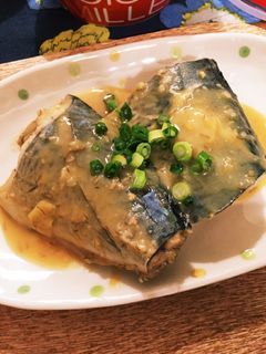 サバの味噌煮-レシピのメイン写真