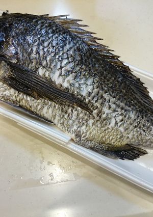 黒鯛 (チヌ)半身でムニエルとあら煮-レシピのメイン写真