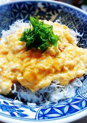 卵のおじゃこのご飯✨丼-レシピのメイン写真