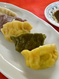 簡単ベジタブル餃子☆5種類のお野菜の皮で-レシピのメイン写真