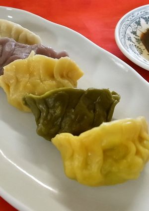 簡単ベジタブル餃子☆5種類のお野菜の皮で-レシピのメイン写真