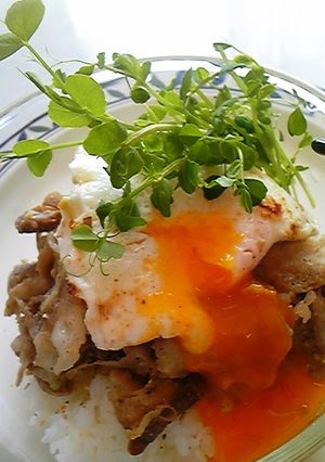 塩麹ぶたまご丼-レシピのメイン写真