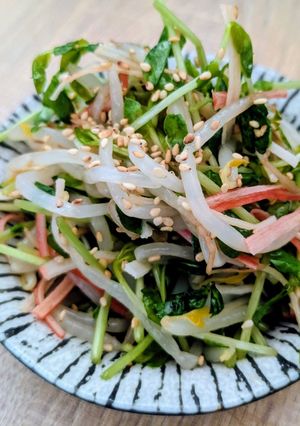 豆苗、もやし、カニカマの中華風サラダ-レシピのメイン写真