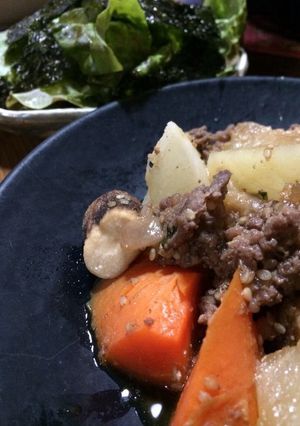 コストコのプルコギビーフで根菜の旨煮-レシピのメイン写真
