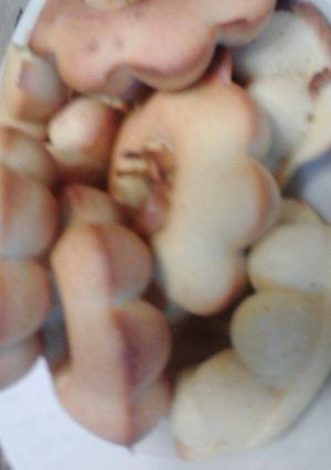 焼き高野豆腐ドーナッツ-レシピのメイン写真