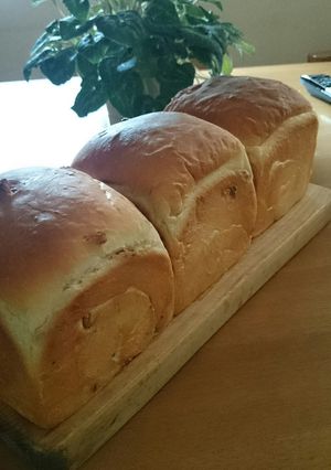 ふんわりあまい胡桃食パン♬手捏ね山食-レシピのメイン写真