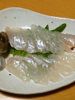 トラハゼの刺身-レシピのメイン写真
