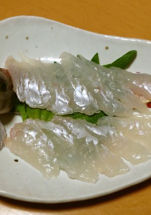 トラハゼの刺身-レシピのメイン写真