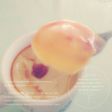 豆乳プリン~ハニーカラメルソース~
