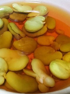 空豆の煮物-レシピのメイン写真