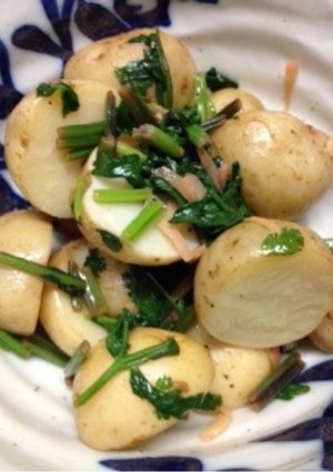 あっさり新ジャガの香菜和え-レシピのメイン写真